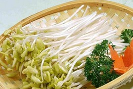 素食日推荐：能当肉吃的六种蔬菜
