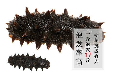 干海参的价格