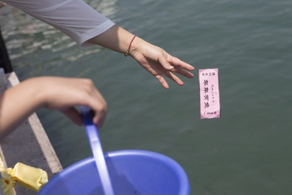 三亚放生海龟最高价5万元 景区被指抓放生龟再卖
