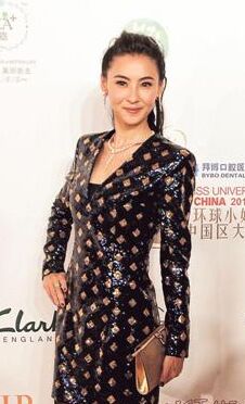 张柏芝任选美评委美丽不单看外表还有才华
