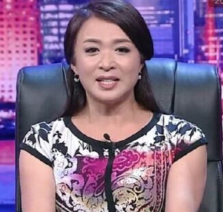 金星喷范冰冰粉丝 范冰冰演技备受质疑
