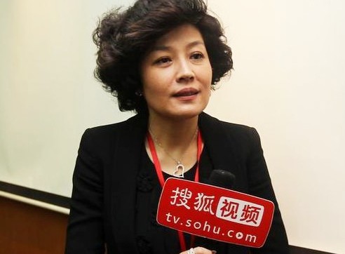 2015春晚：哈文将担任羊年央视春晚总导演